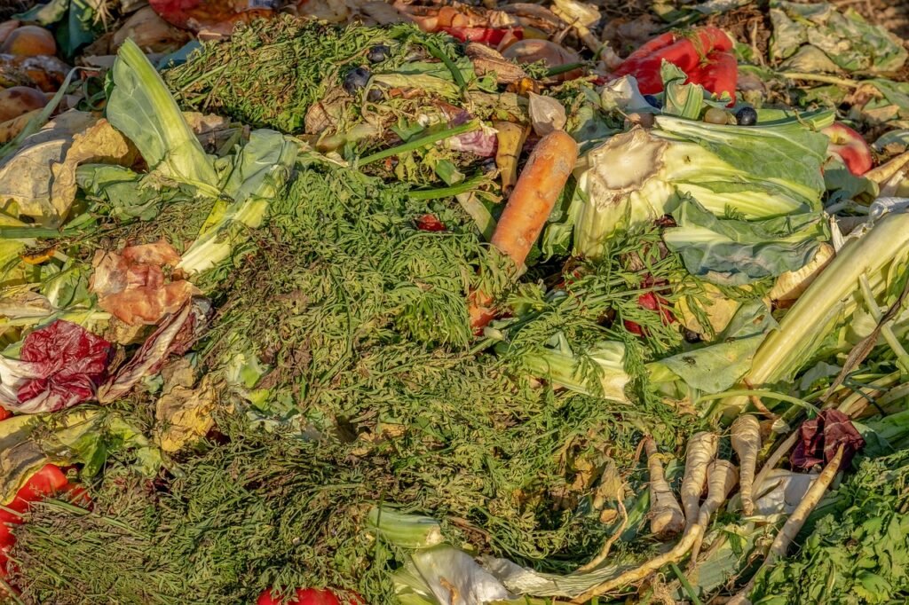 Fresh vegetable scraps and kitchen waste ready for composting, including cabbage, carrots, and green waste