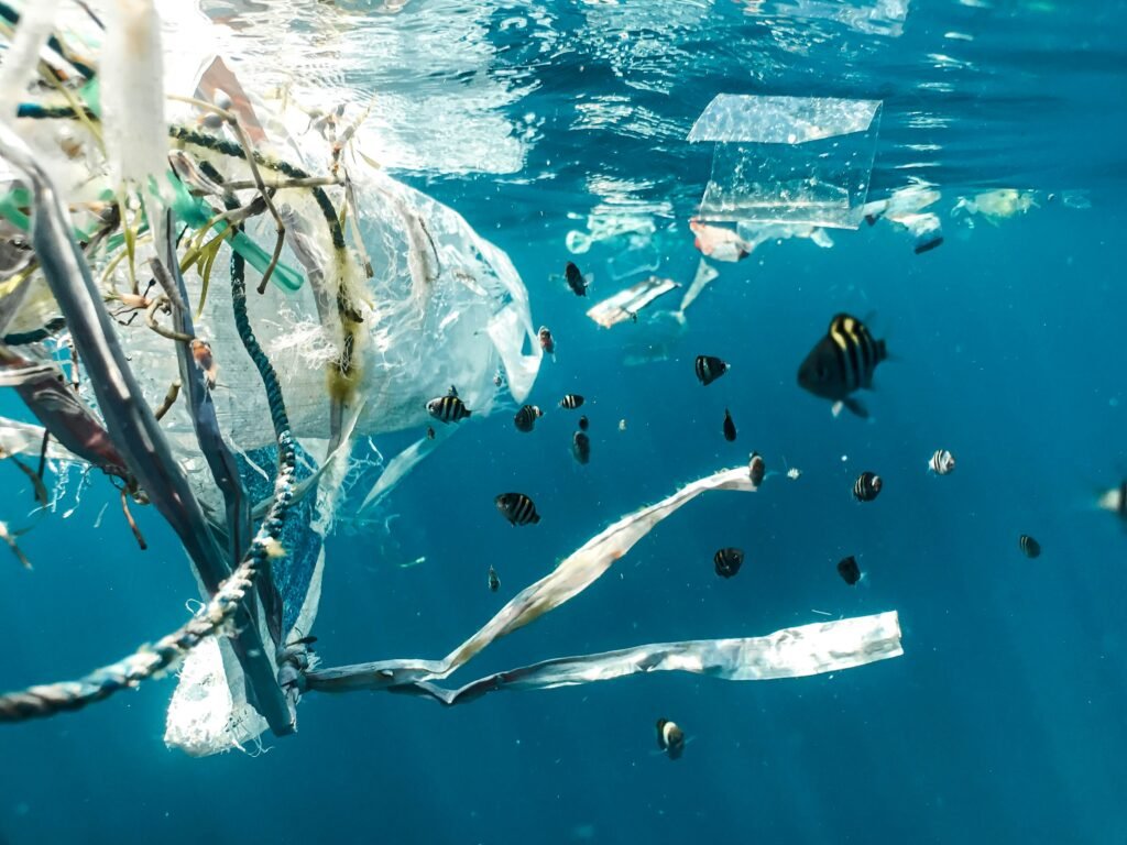 Underwater photograph showing plastic waste floating in ocean water surrounded by tropical fish, demonstrating marine plastic pollution impact